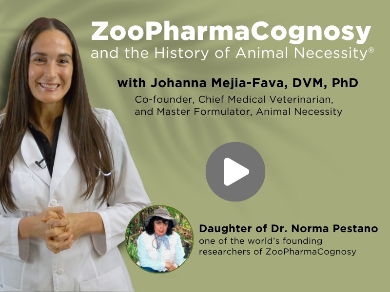 ZooPharmaCognosy