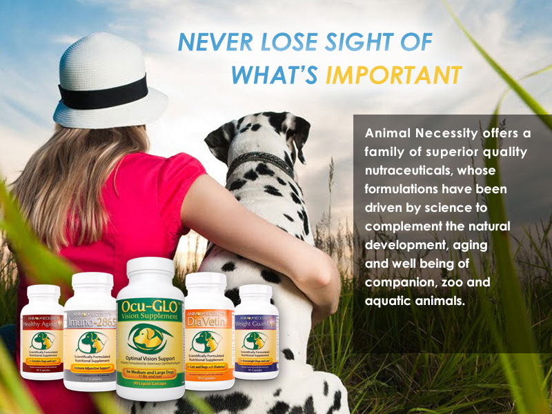 Animal Necessity | Natural Supplements & Vitamins for Dogs, Pets, Zoo ...